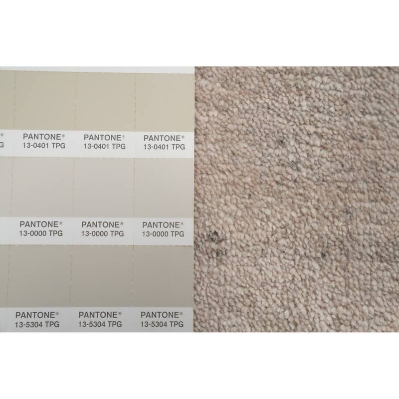 Hand Knotted Oriental 100% Wool Carpet Tribal Animal Pictorial Beige & Ivories Gabbeh Area Rug - 4' 11'' X 3' 0''