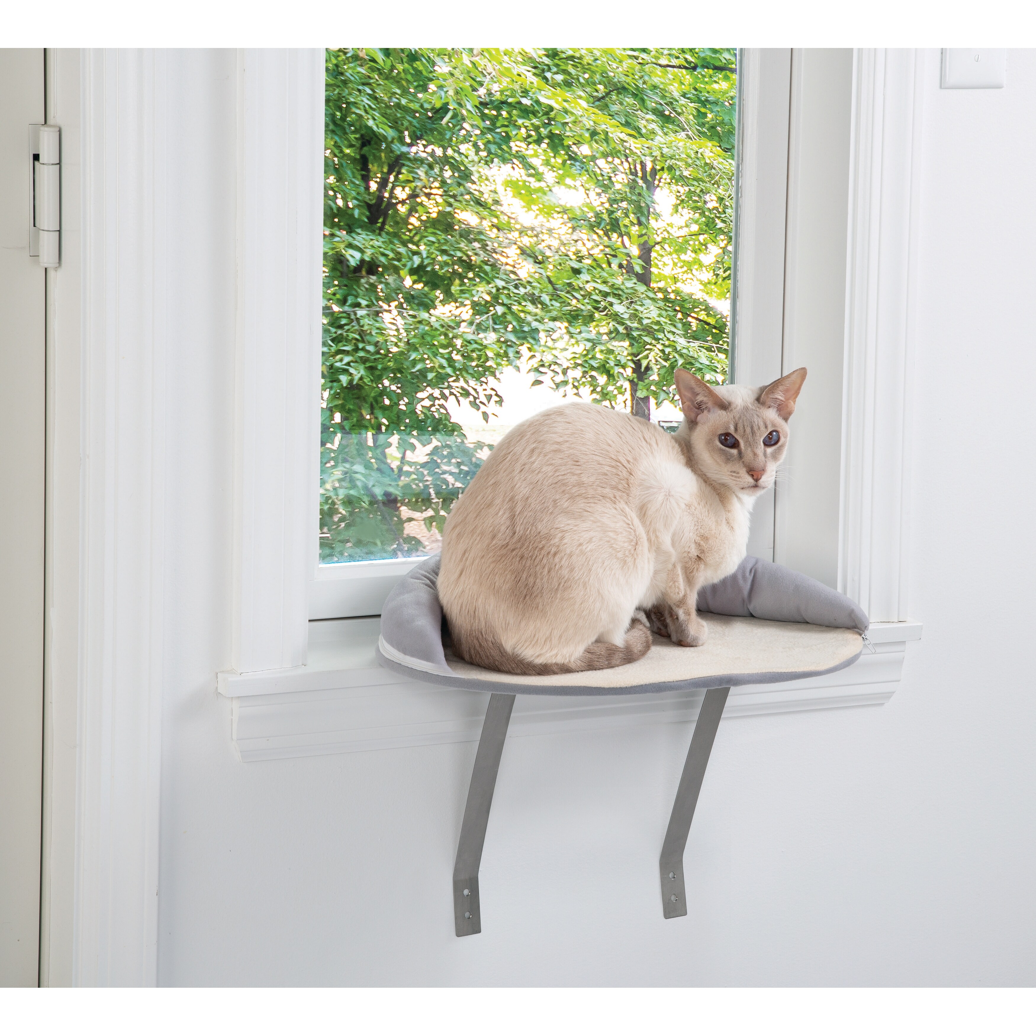 cat window ledge petsmart
