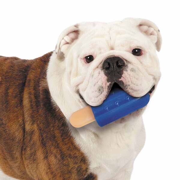 popsicle dog toy