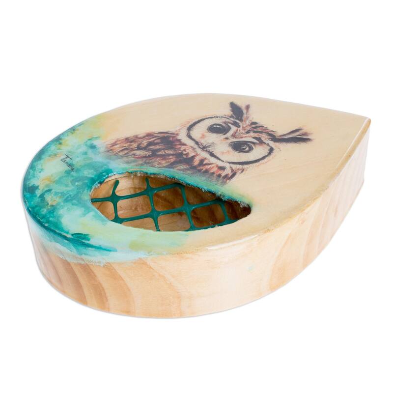 Novica Handmade Owl Nature Wood Wall-Mounted Planter