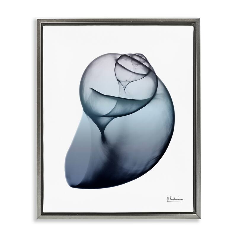 Stupell Contemporary Snail Shell Framed Floater Canvas Wall Art Design by Albert Koetsier