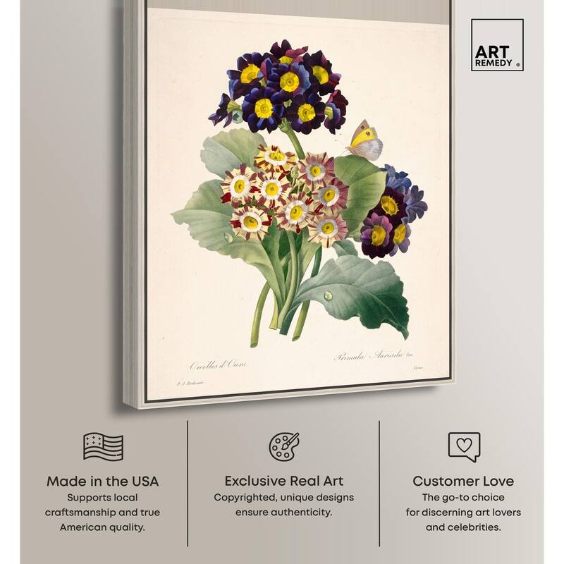 Auricula Varieties Canvas by Art Remedy