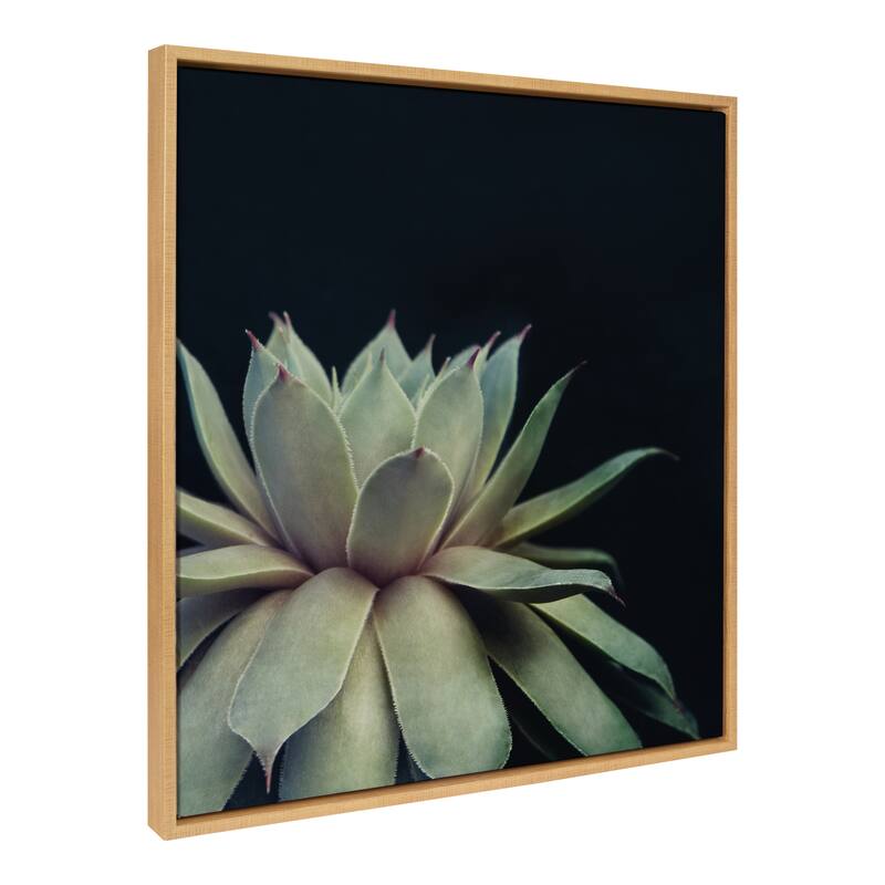 Sylvie Succulent 18x24 Gold Framed Canvas Wall Art by F2 Images