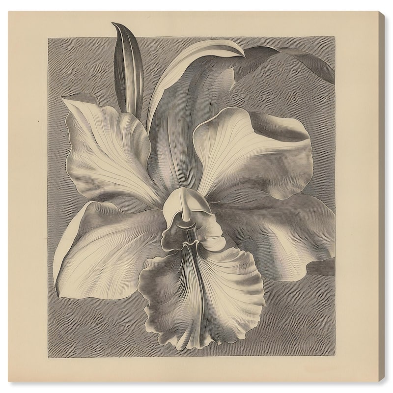 Petals Unfurled II Canvas by Art Remedy, Gallery Wrapped - 24" x 24"
