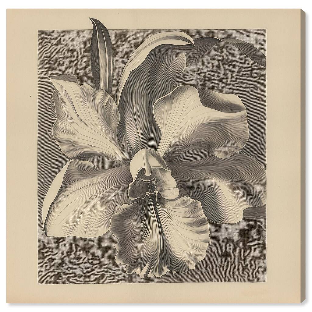 Petals Unfurled II Canvas by Art Remedy, Gallery Wrapped