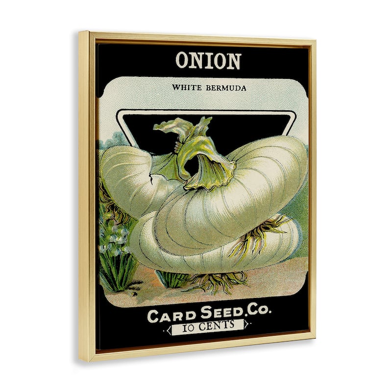 Stupell Vintage Garden Onion Framed Floater Canvas Wall Art Design By Lil' Rue