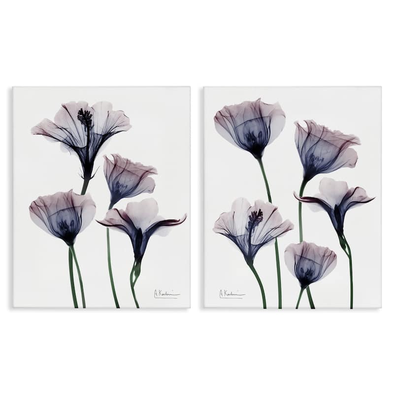 Stupell Bountiful Dusk Lilies Canvas Wall Art Design By Albert Koetsier (Set of 2) - 24 x 30