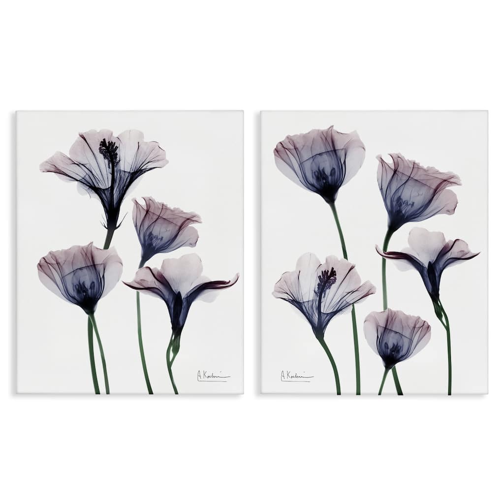 Stupell Bountiful Dusk Lilies Canvas Wall Art Design By Albert Koetsier (Set of 2)
