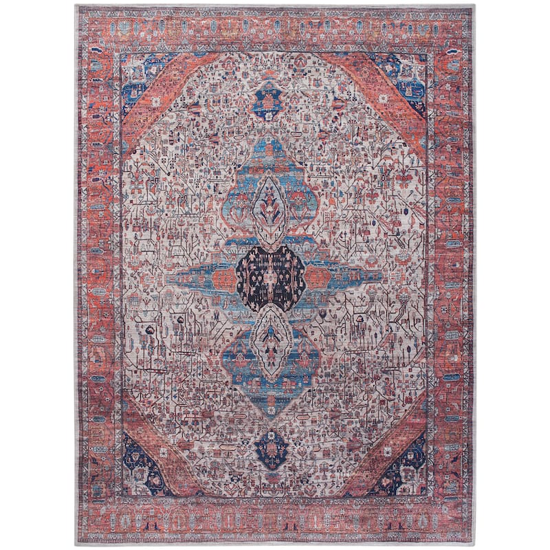 Brilliance Machine Washable Persian Vintage Area Rug