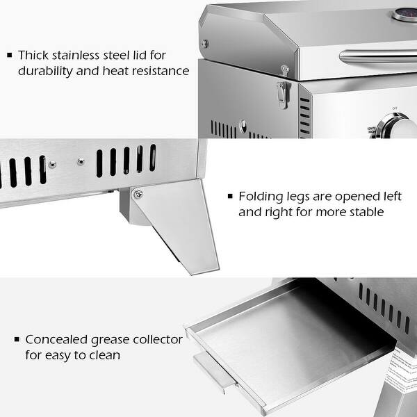 2 Burner Propane Gas Tabletop Grill in Stainless Steel