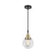 Option Black Antique Brass / Clear