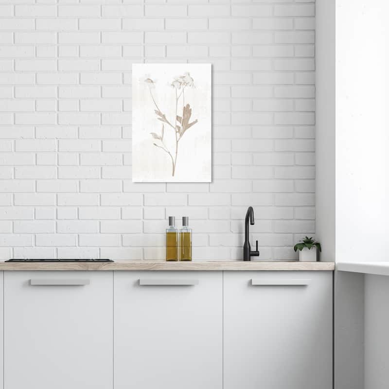 Wynwood Studio Canvas Floral and Botanical White Pressed Plant II White and Brown Modern & Contemporary Wall Art Canvas Print - 24 x 16