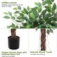 preview thumbnail 3 of 5, Tall Artificial Ficus Tree with Natural Wood Trunk for Indoor/Outdoor Decor