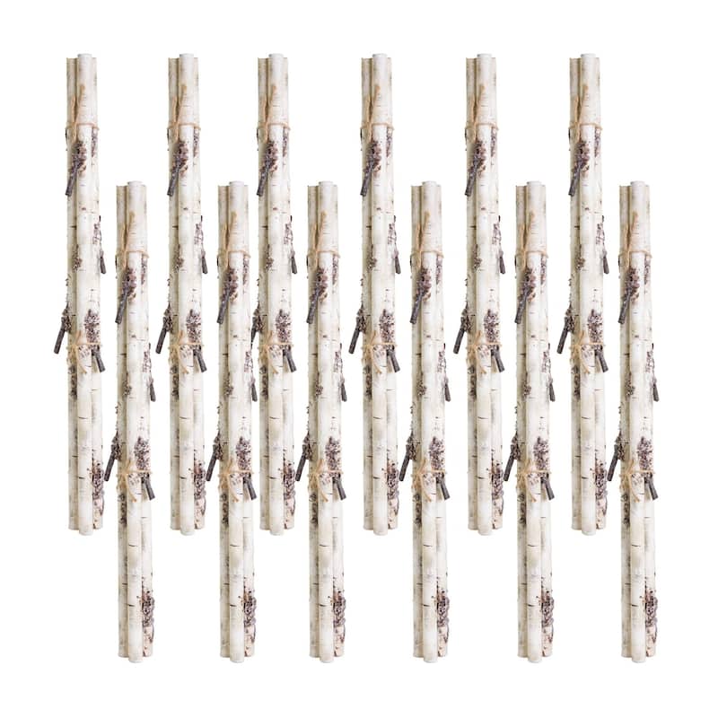 Pack of 12 White PVC Birch Branch Bundle 19"