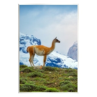 Stupell Industries Farm Animal Wall Plaque - Llama In Glasses Art By Victoria Borges - View #10