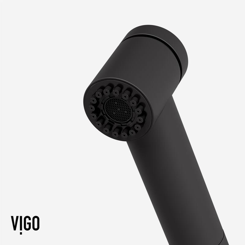 VIGO Branson 9" H Single Handle Pull-Out Sprayer Kitchen Faucet