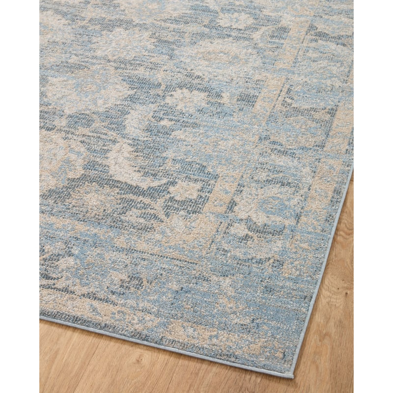 Alexander Home Colette Vintage Whimsical Area Rug