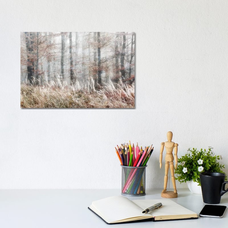 iCanvas "Always Magic In The Woods" by Irene Weisz Canvas Print - 8x12x0.75
