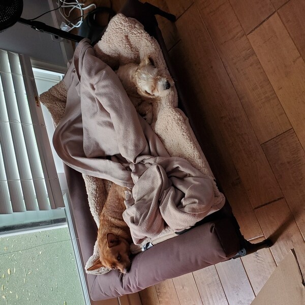 Shop K H Pet Products Original Bolster Dog Cot And Bed Overstock
