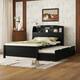Option Brown