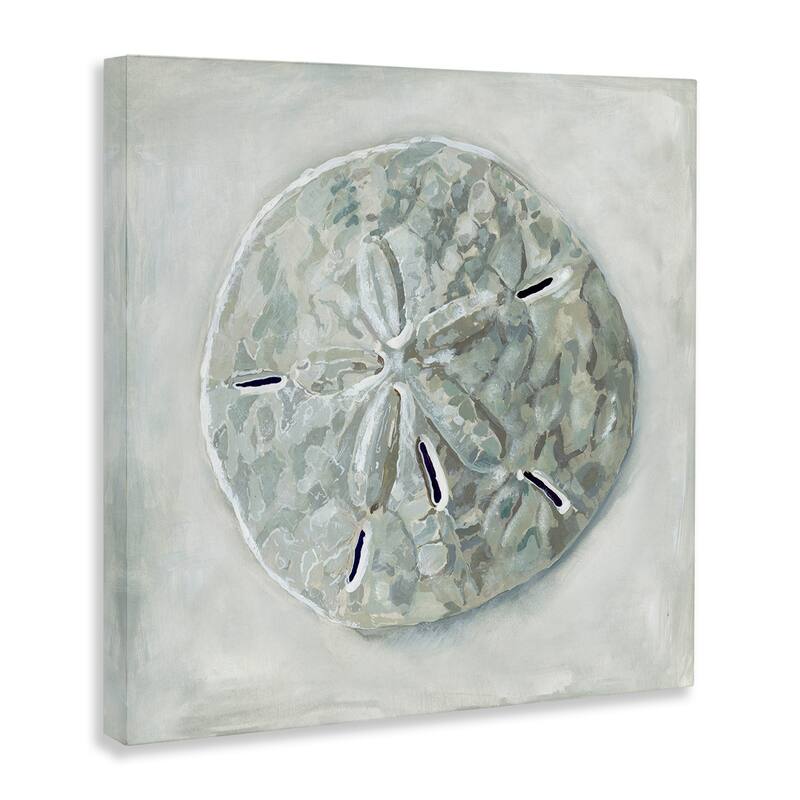 Stupell Sand Dollar Seashell Stretched Canvas Wall Art, Design by Erica Christopher
