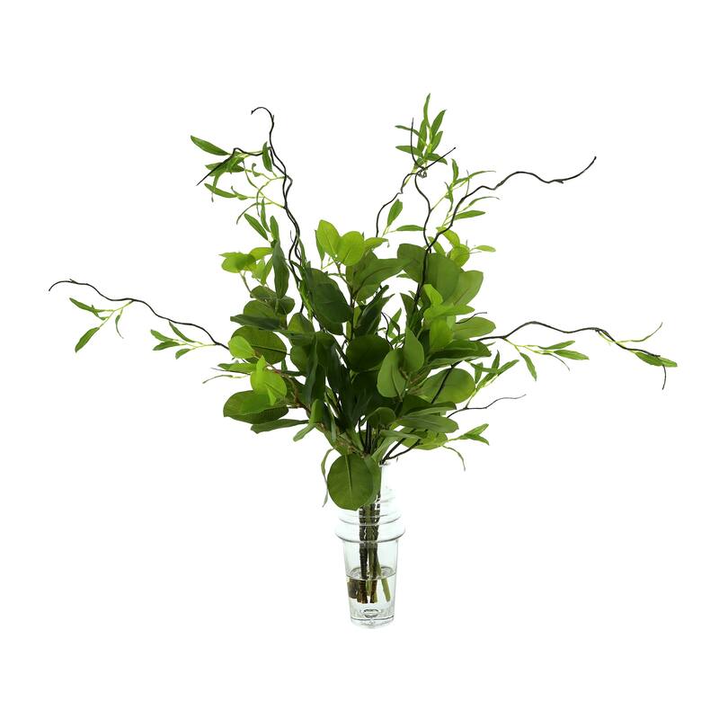 Oriental Fiscus and Willow Branch Arrangement in a Tall Glass Vase - Green