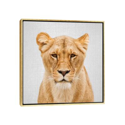 iCanvas "Lioness" by Gal Design Framed Canvas Print