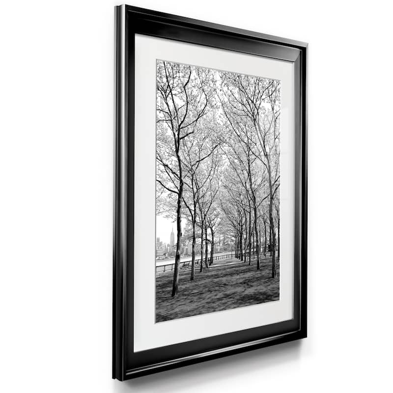 Pier a Park Premium Framed Print - Ready to Hang