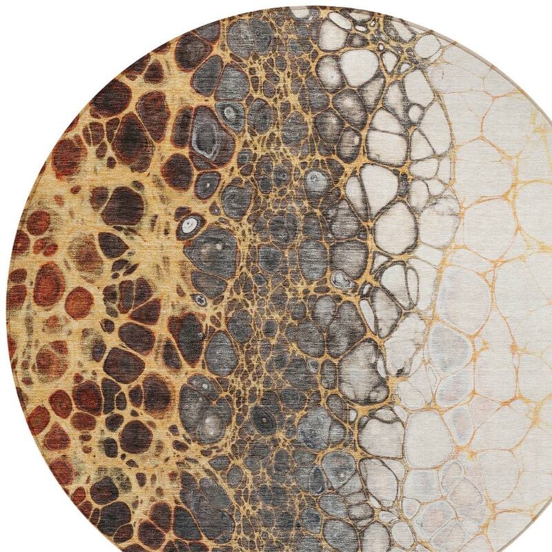 HomeRoots Abstract Transitional Rectangle Outdoor Rug