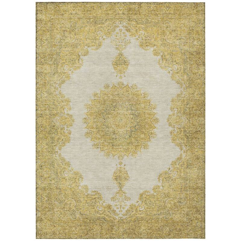Machine Washable Indoor/ Outdoor Vintage Traditional Chantille Rug