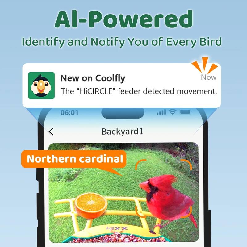 Smart Bird Feeder with Camera 2K HD Live