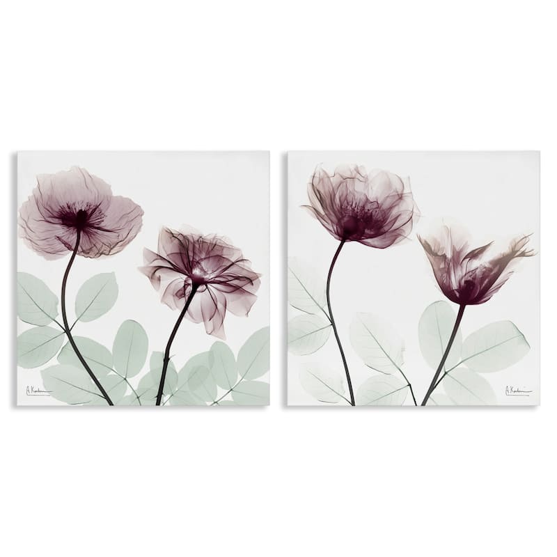 Stupell Delicate Mauve Flowers Canvas Wall Art Design By Albert Koetsier (Set of 2) - 24 x 24