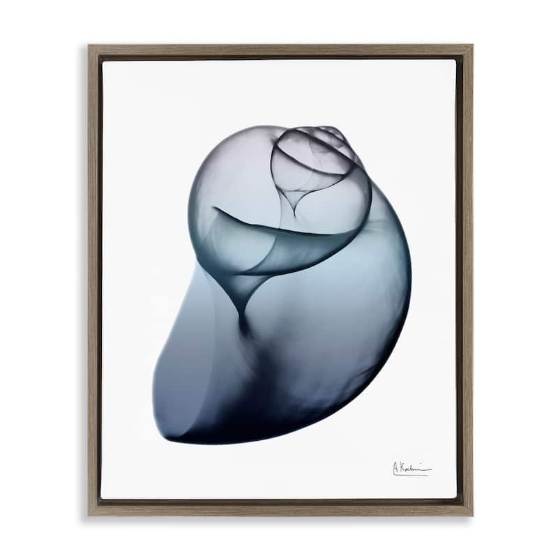 Stupell Contemporary Snail Shell Framed Floater Canvas Wall Art Design by Albert Koetsier - 25 x 31 - Brown