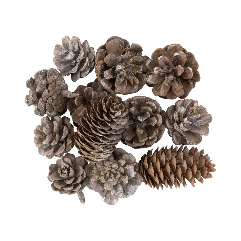 Pinecones and Snowflakes Christmas Decorations - 6"