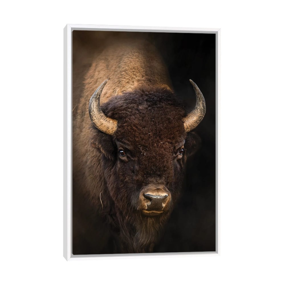 iCanvas "Bison In Light" by Patsy Weingart Framed Canvas Print