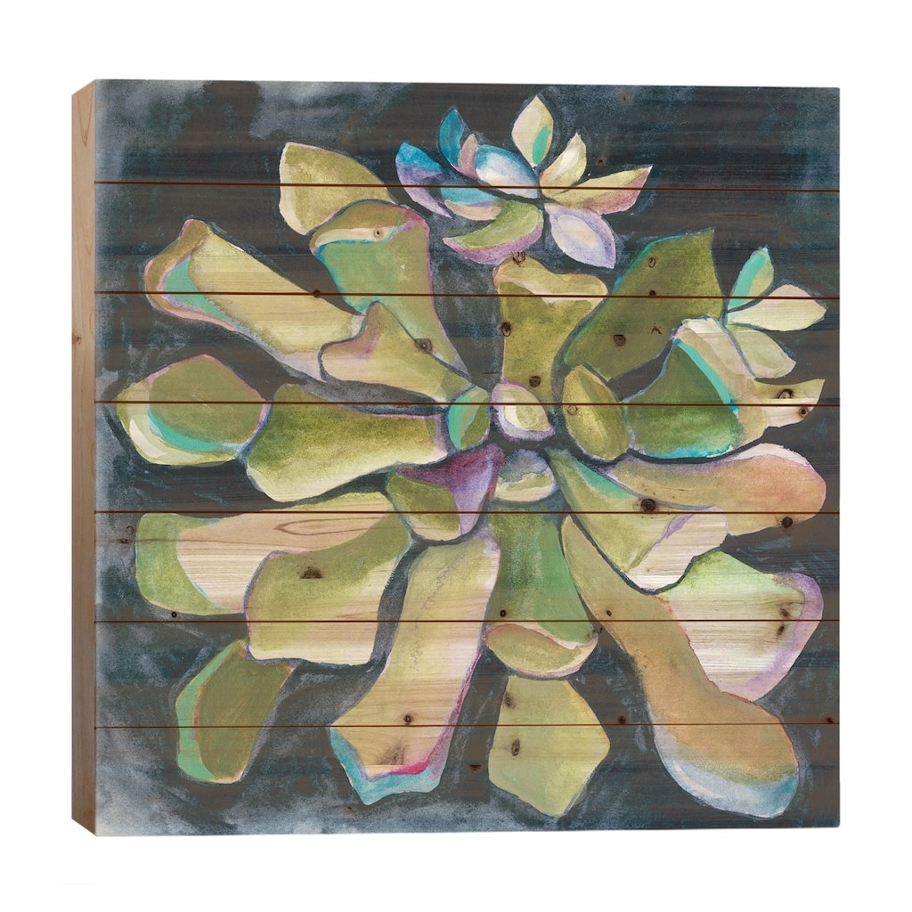 Succulent Rosette I Print On Wood by Chariklia Zarris - Multi-Color