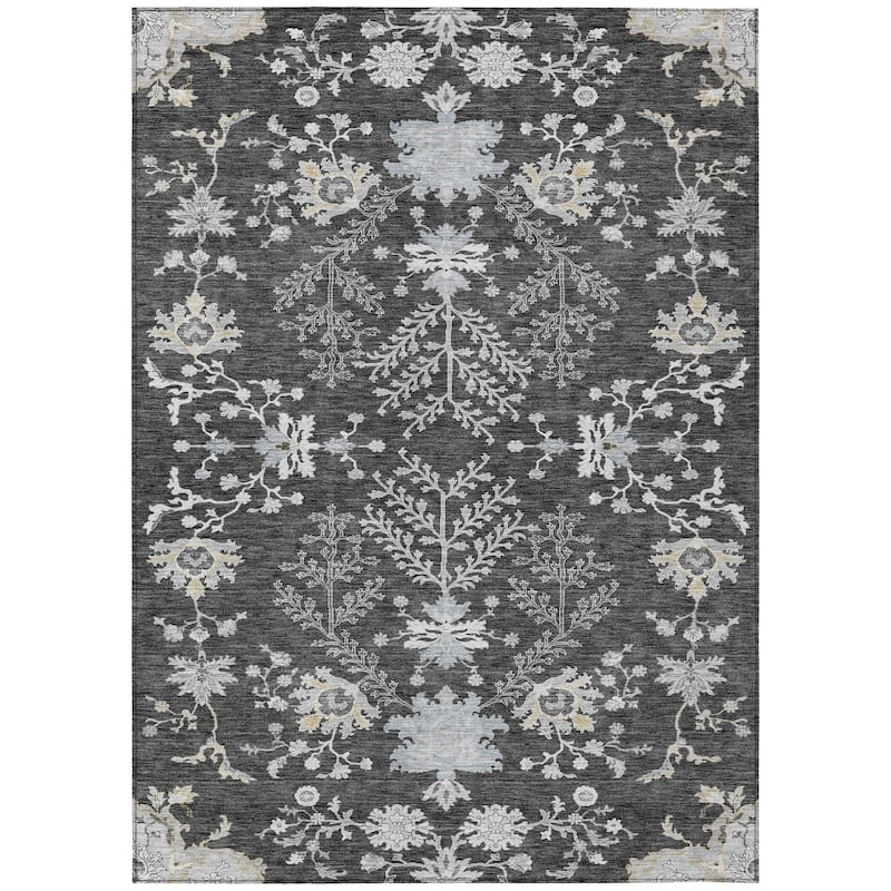 Machine Washable Indoor/ Outdoor Boho Traditional Chantille Rug