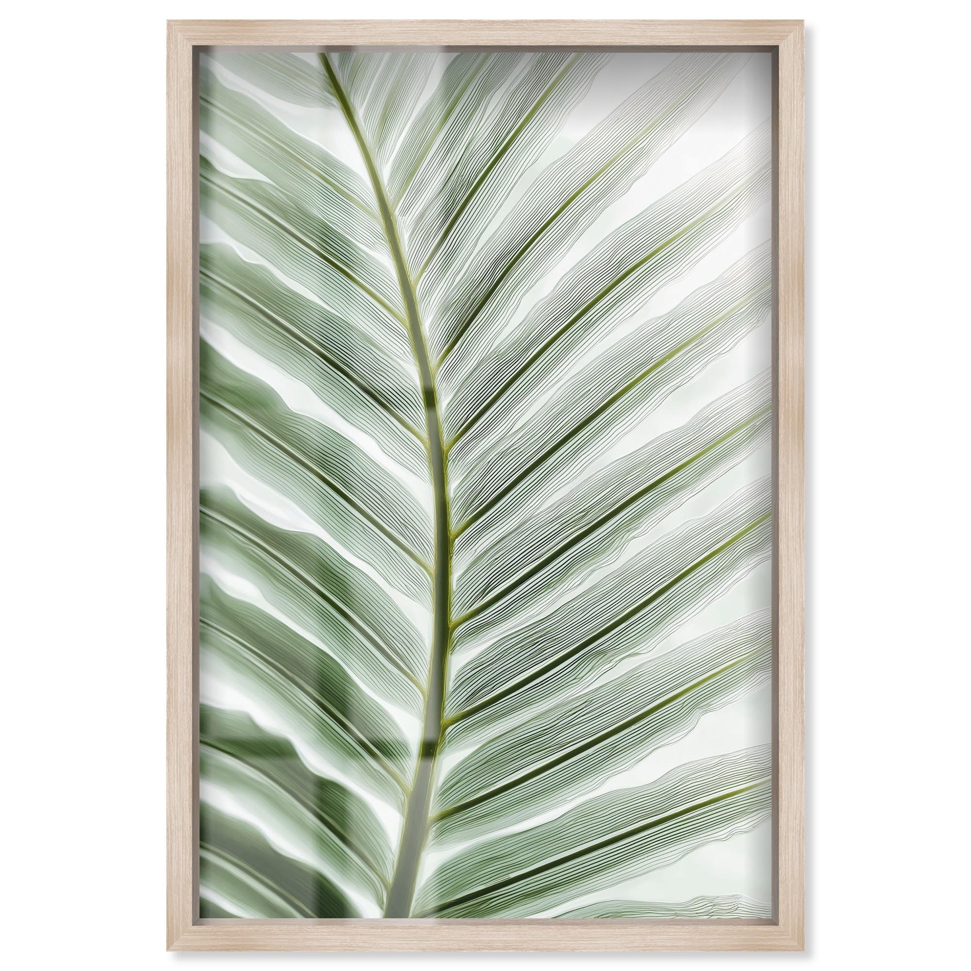 Forest Filigree II Coastal Wall Art Shadowbox Print by Art Remedy