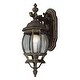 preview thumbnail 3 of 1, Trans Globe Lighting Single Light Down Lighting Outdoor Wall Sconce Black Gold