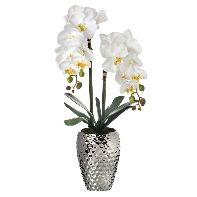 Phalaenopsis Orchid In Hammer Silver Pot 24"