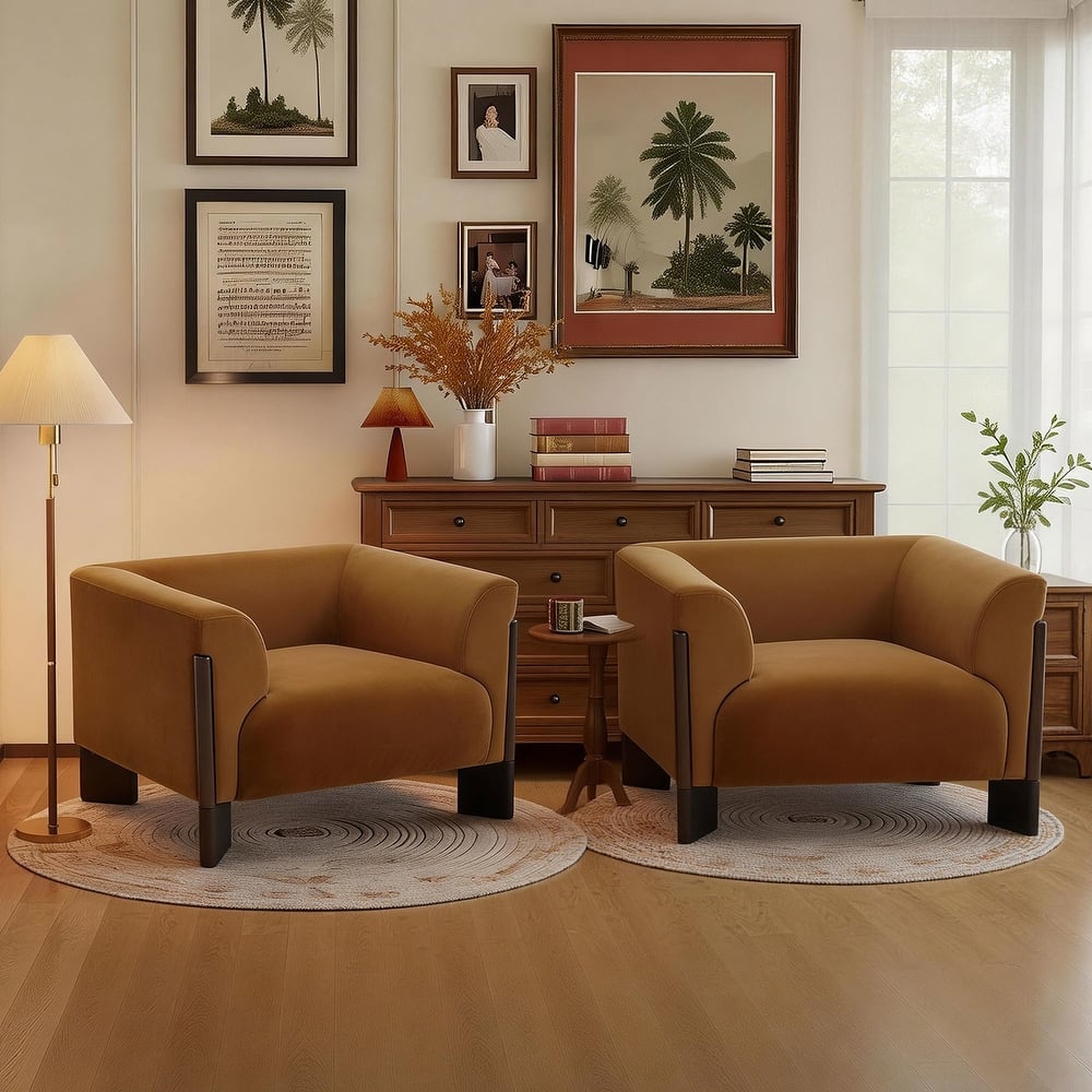 2 Set Modern 41"W Accent Chair for Living Room