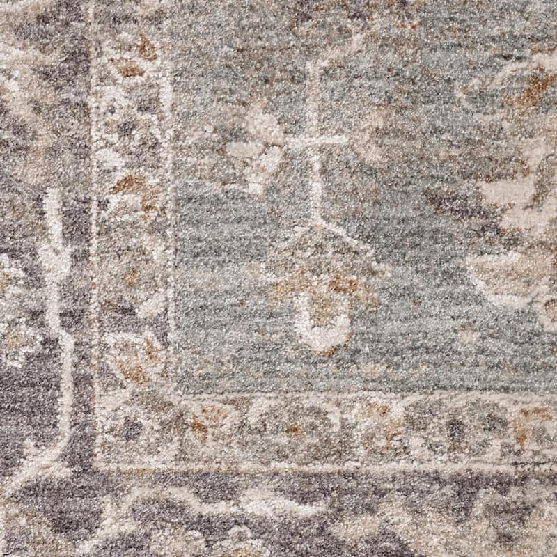 Nourison Asher Indoor only Persian Floral Medallion Area Rug