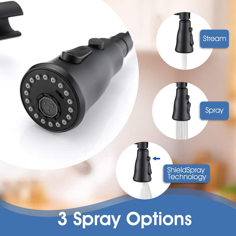Double Handle Wall Mounted Spring Neck Bridge Kitchen Faucet