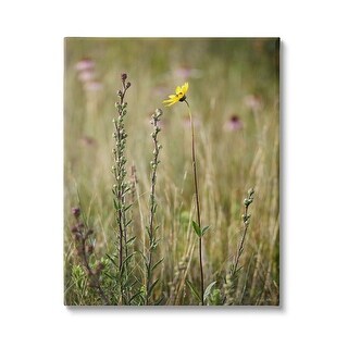 Stupell Yellow Daisy Sprout Canvas Wall Art Design by Kent ...