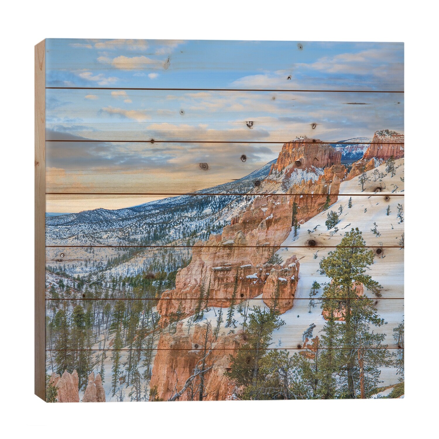 Hoodoos In Winter, Bryce Canyon National Park, Utah Print On Wood by Tim Fitzharris - Multi-Color