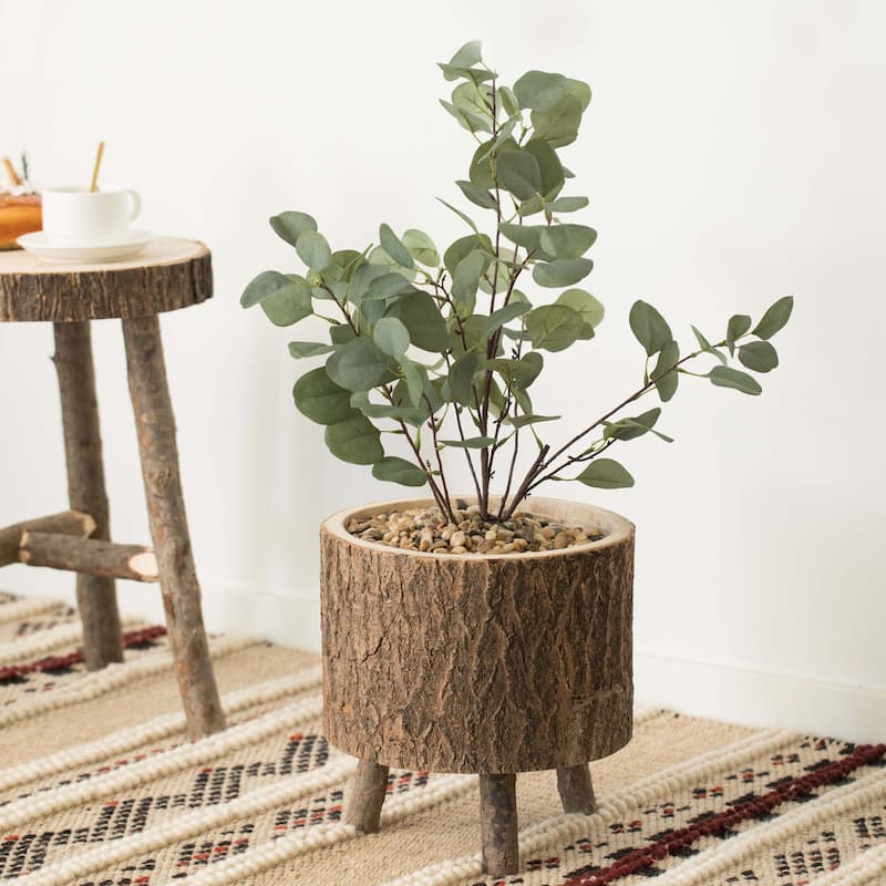 Wooden Stump Tree Log with Bark Planter Pot with Small Tree Branch Legs