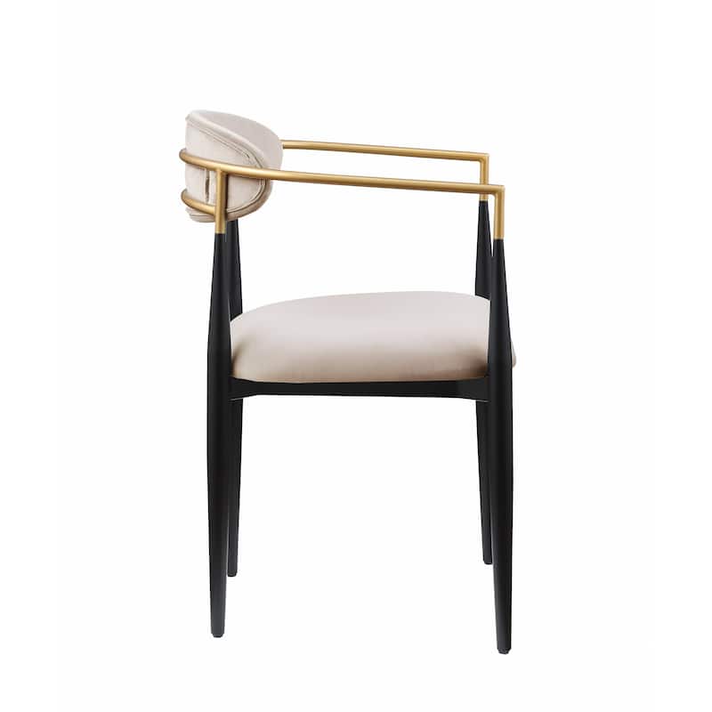 Modern Contemporary 2pcs Side Chairs