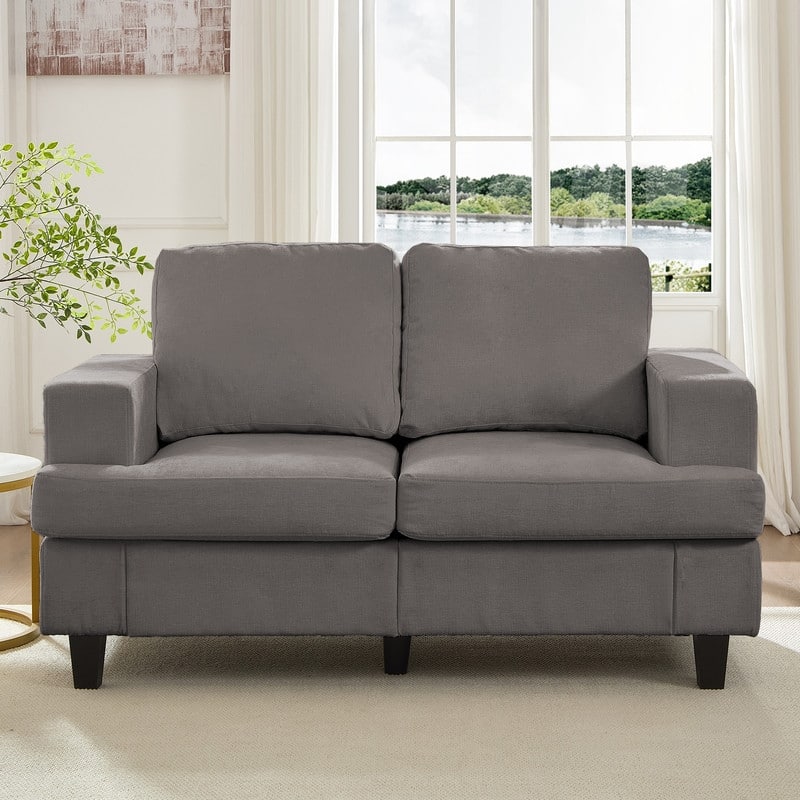 Mixoy W56"Loveseat Sectional Sofa,Chenille Fabric Cloud Sleeper Comfy Upholstered 2-Seater Couches - 2-Seater - Light Grey
