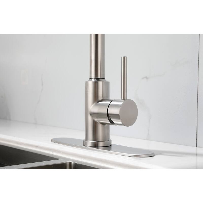 Kitchen Faucet with Pull Down Sprayer