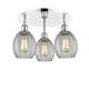 Option Clear / Polished Chrome